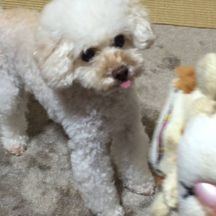 13d673fd af46 49c7 8635 5fb23ac73ee8