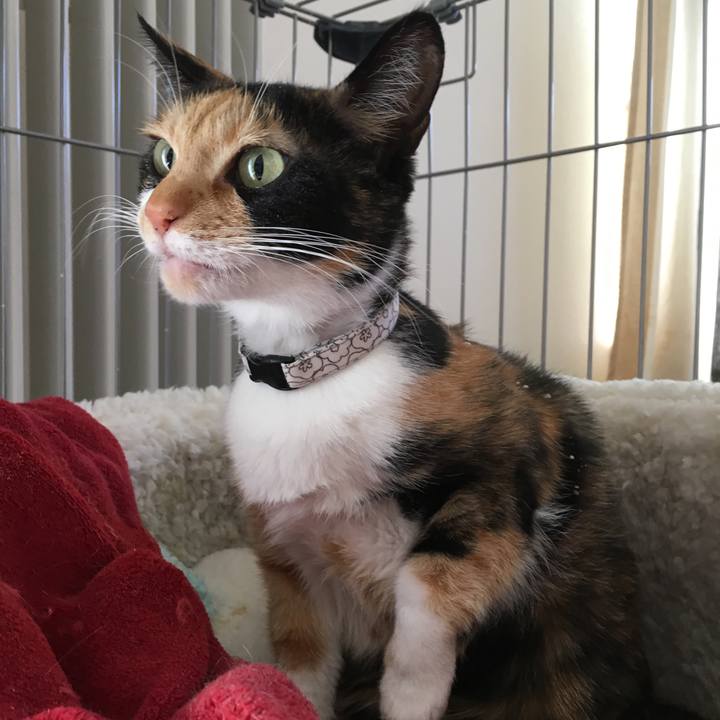 13d73f97 92fd 4494 b9b4 8aca8912b8c1