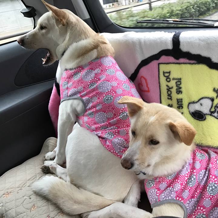 13d7cdbb 1c3a 4050 abe8 1cb52b6adf82