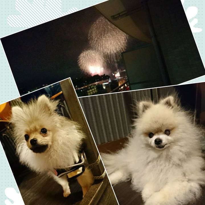 13d82d98 1c65 404f 8e98 1ddbeffc1711