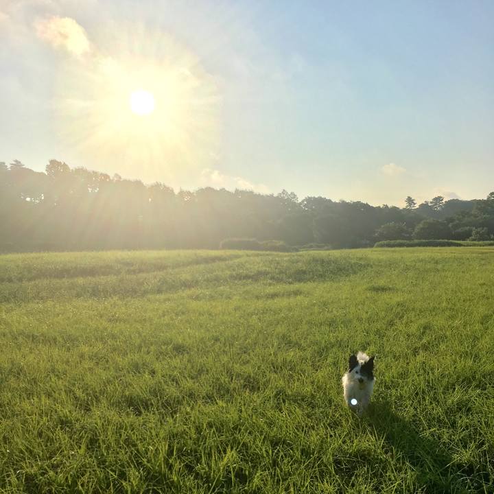 13d87fc6 129a 4192 86e0 1a9954171729