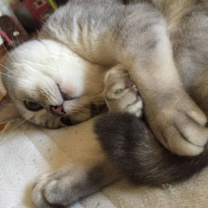 13d8c84d 339c 483d a56e 932097b69406