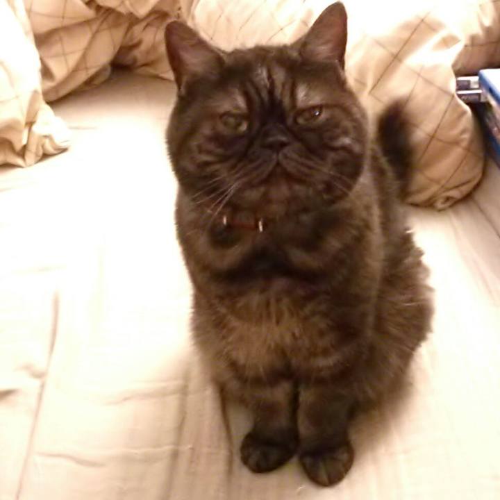 13d8cd7b dd5f 496c 9b27 f027397177f8