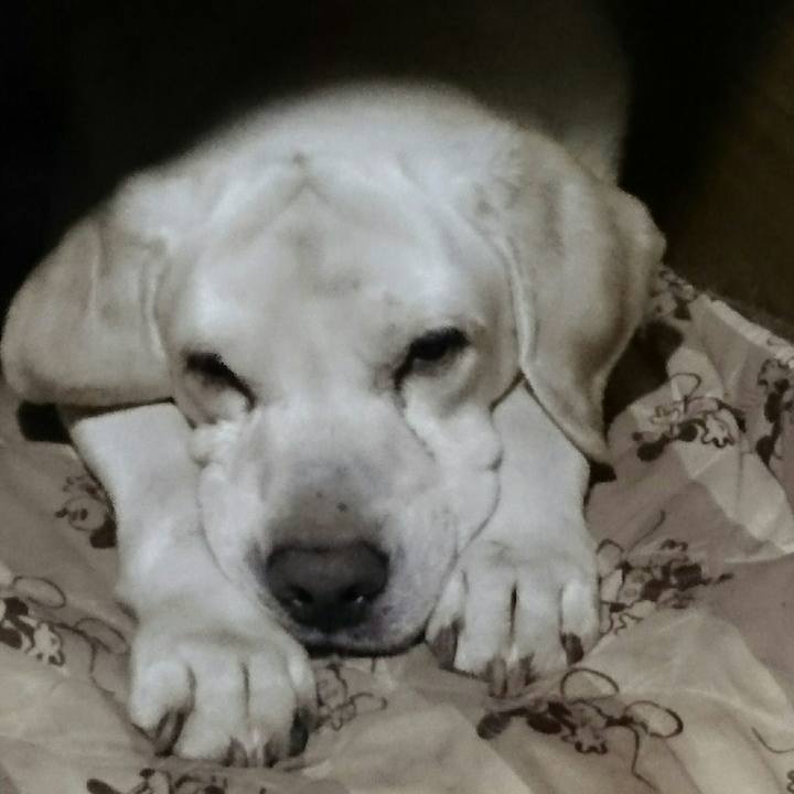 13d8f335 692f 434d a892 6c31eb4f55d6