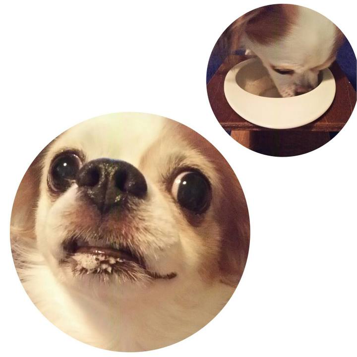 13d9d491 3710 4107 bc6b 926843b09a0f