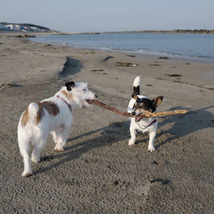 13d9fafb d011 49da 9784 825ec83b0ad5