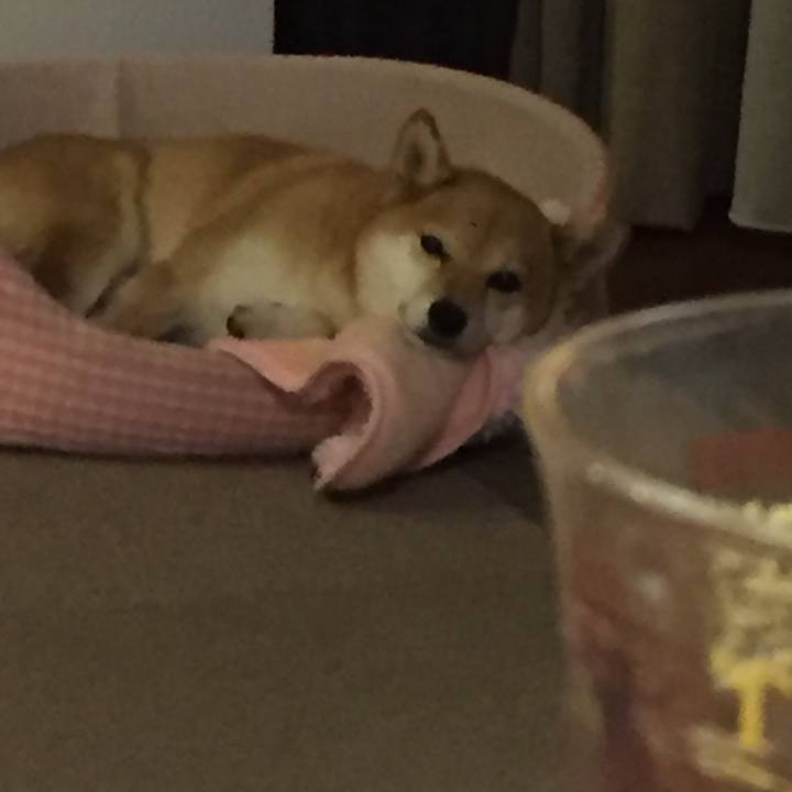 13dbe09e 3bbe 4201 a662 f528d3ababc1