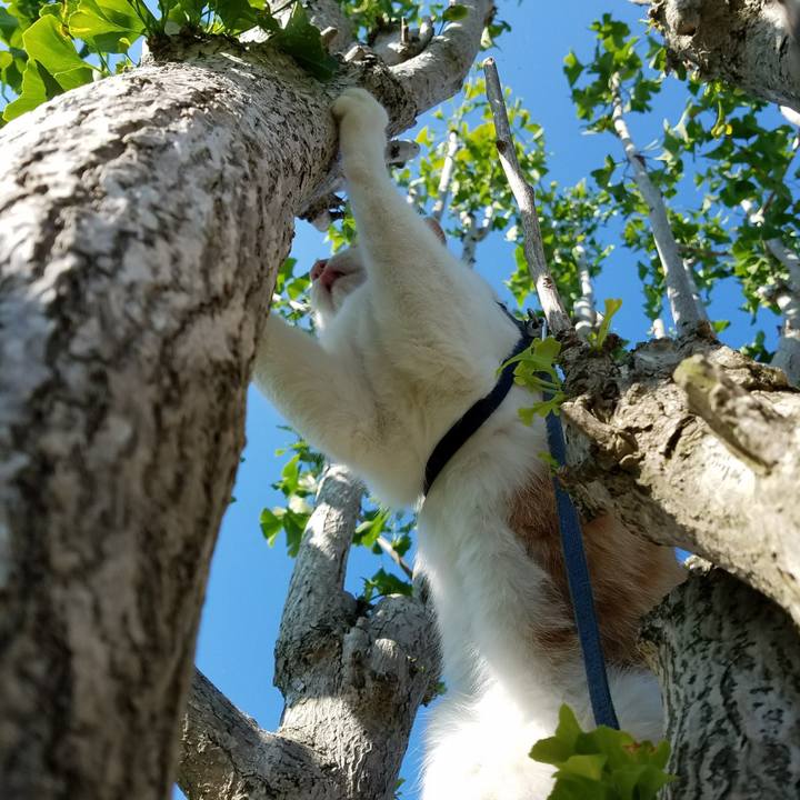 13dc093c 636b 45fe 8845 9324331b33d0