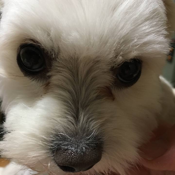 13dc9e05 4cb0 440d 9825 66ff6a703828