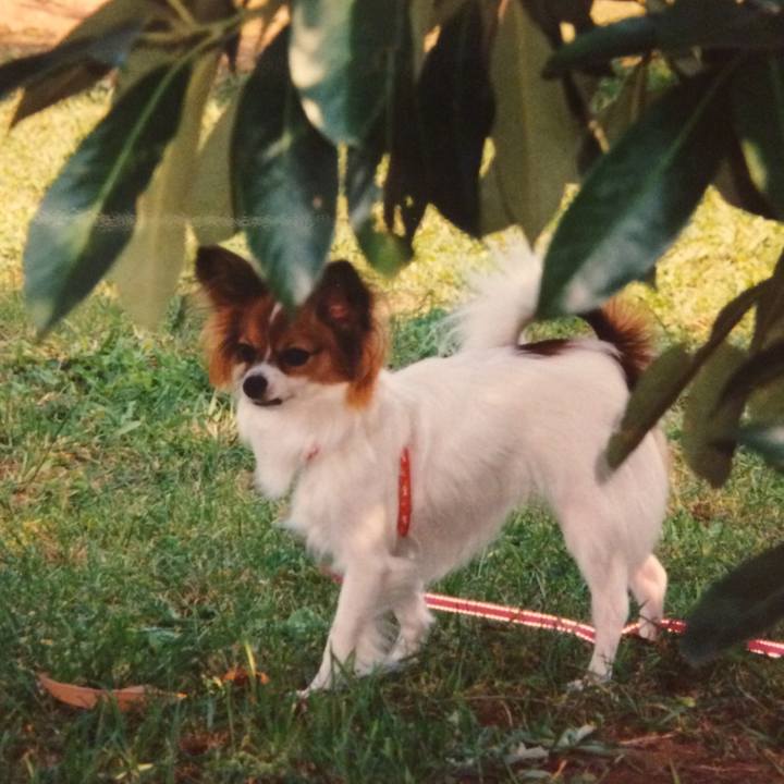 13dca382 fec9 407a b6e5 619aed8b98c4