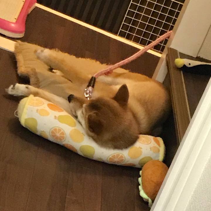 13dcd6cb 3dc9 4748 a2a6 16ab5e410445