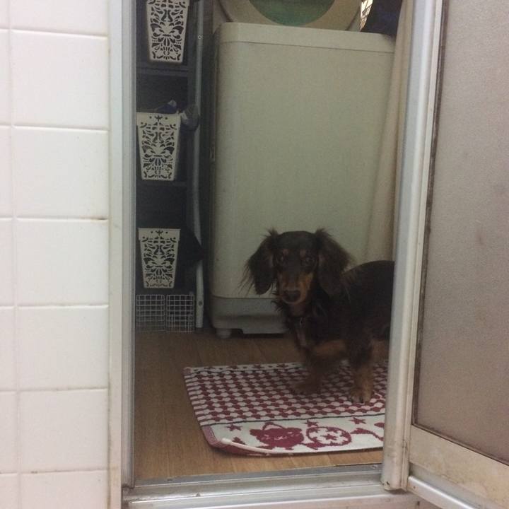 13dcf05d 7fa2 4424 8dbb 61e2f4350dab