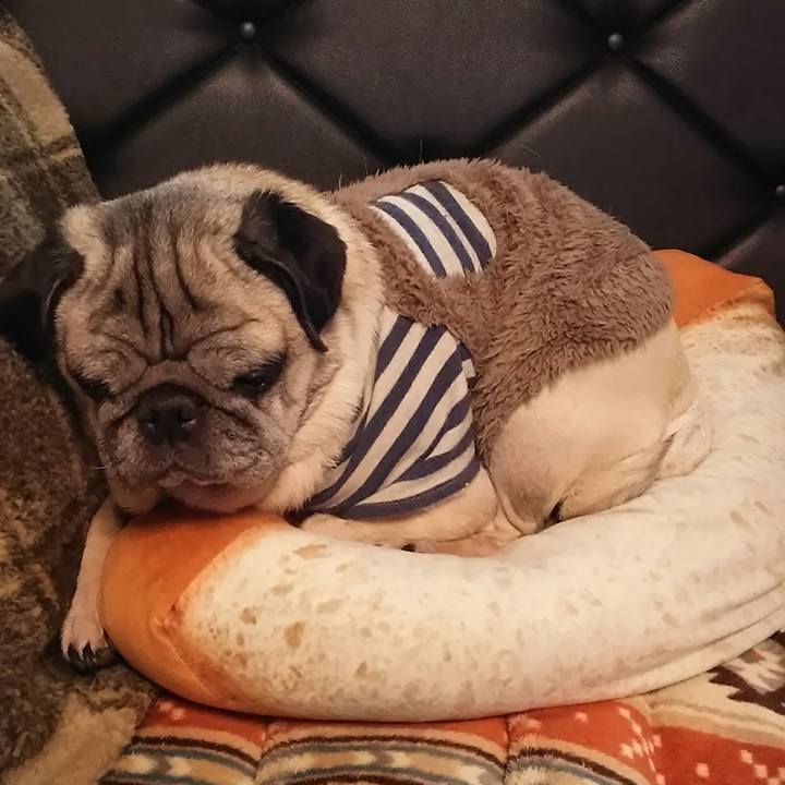 13ddcca6 81b4 4f25 977d 8f9c942c0b52