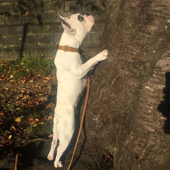 13dddc5c df99 4639 aa62 ad45ef98842b