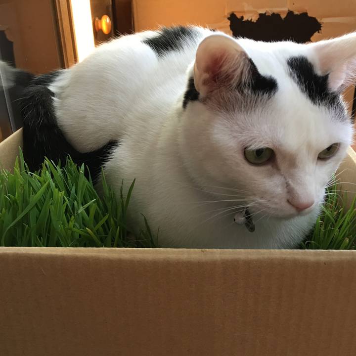 13de7e39 02d8 45fc aaca 1bbd8e3d1cc7