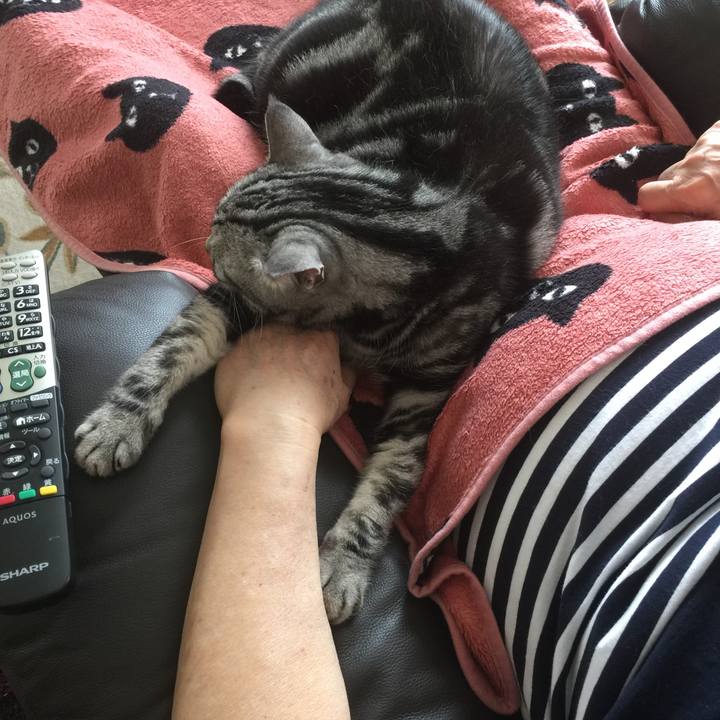 13deb967 1b54 4ba2 89a1 3b3e67065dd9