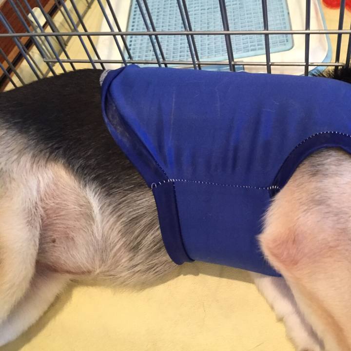 13e01aa5 6267 45ac 8f56 1111f480b576