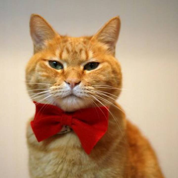 13e05e44 89d6 4265 a3e0 26c80afe3211