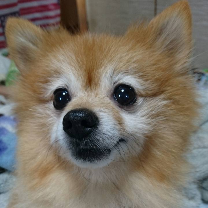 13e155d9 3c69 42cc a9ab 152135230a50