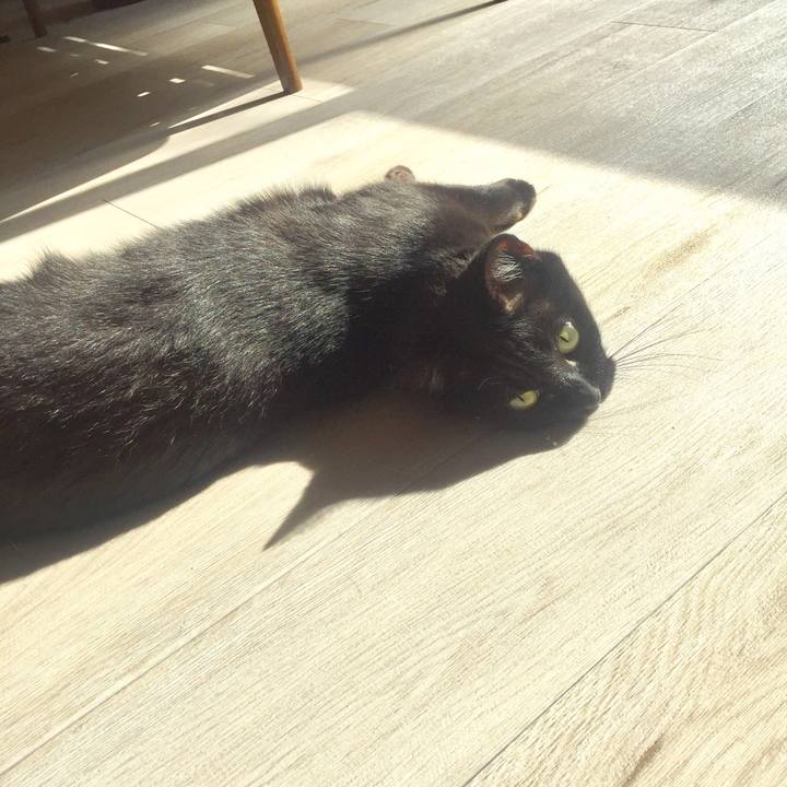 13e15d3b a22a 445a a530 4cce6f586ea3