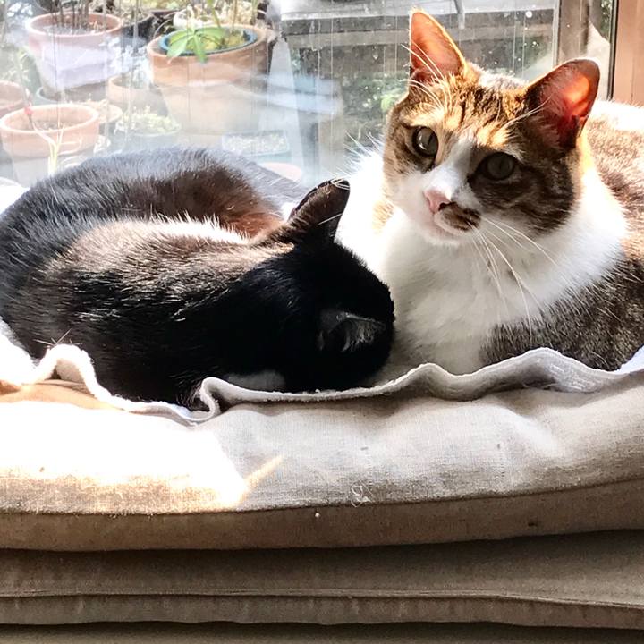 13e16966 5848 4ec4 85b0 9e45bab8dd93