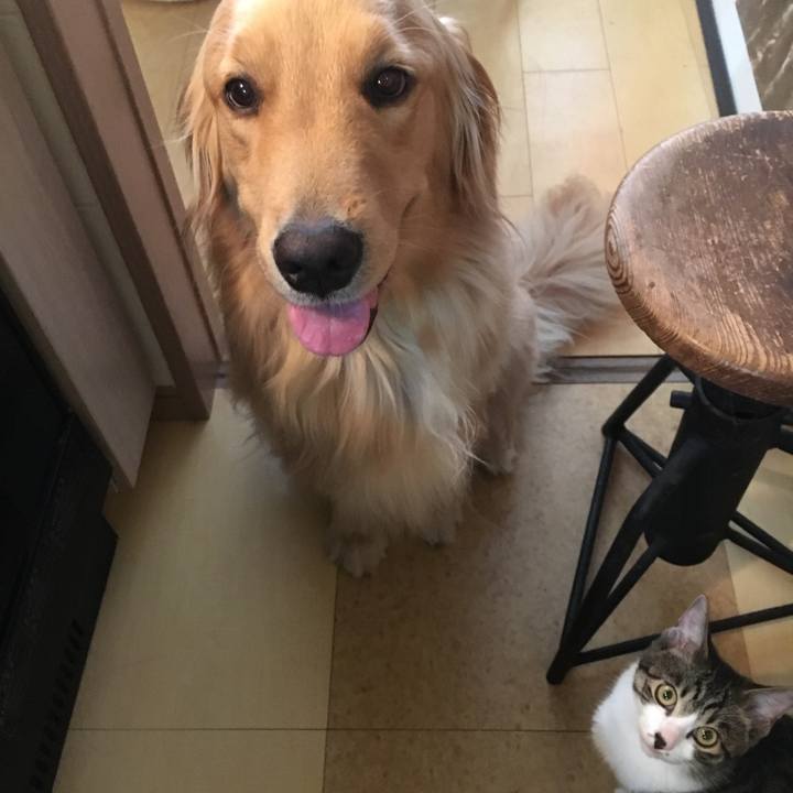 13e19ed2 20c2 4a2d 95ba f82a1b5adf56