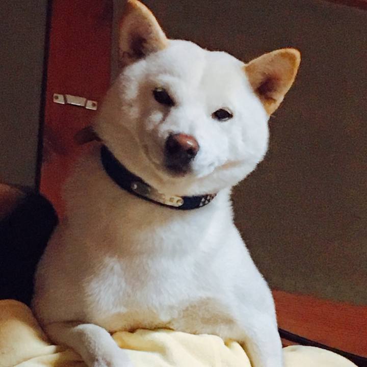 13e1c409 ebe4 49b8 a4a2 1a4755275c20