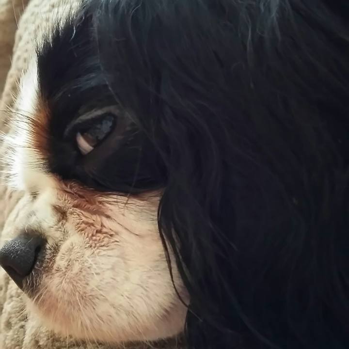 13e24aae 613b 4b09 97ca ec201c57fa16