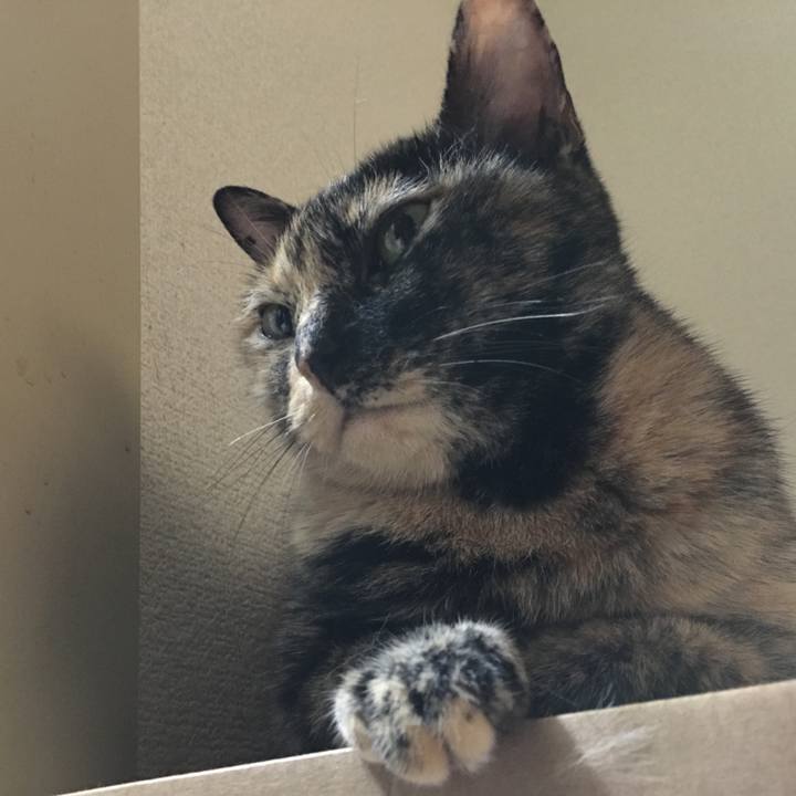 13e26808 9dc4 437d 83e9 770132c924dd