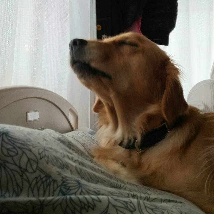 13e29287 2c40 4941 9a7d 1658ea37887a