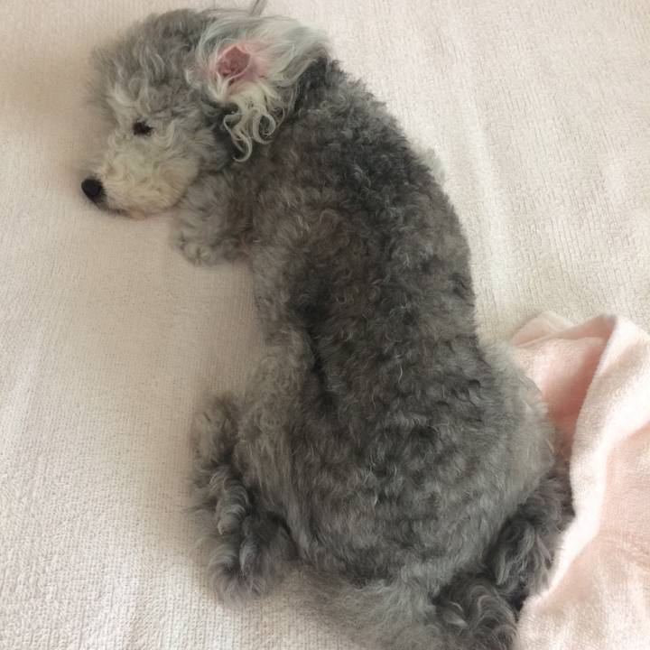 13e38d4f 3152 4817 8679 3430de4068ba