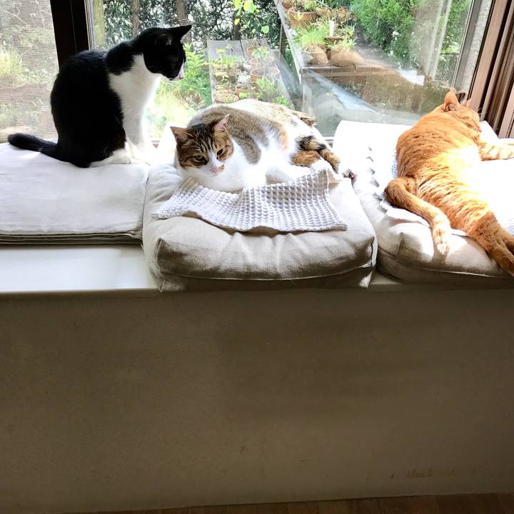 13e45aa7 7b8d 4342 8bc3 abe6147b3749