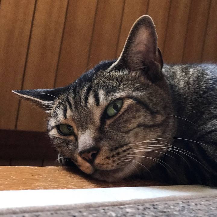 13e4e142 feac 42fc 9d84 a28150c9f6c0