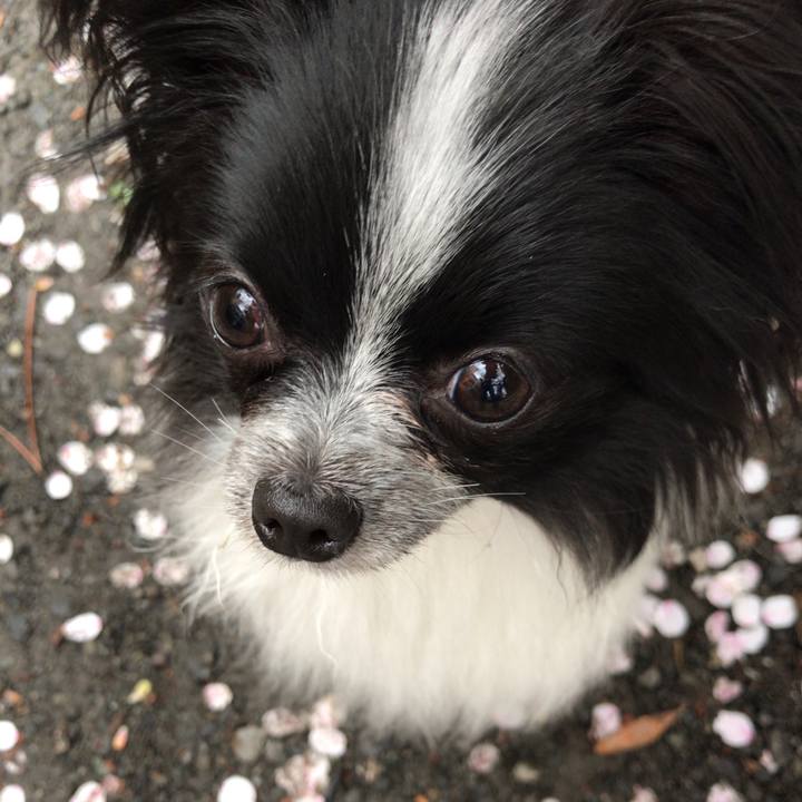 13e570e0 8c10 485c aac6 93f45fe97ddb