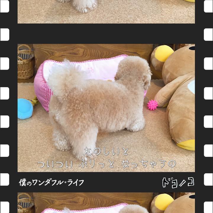 13e5a99a 1a89 4b11 b1bd 921eade32116