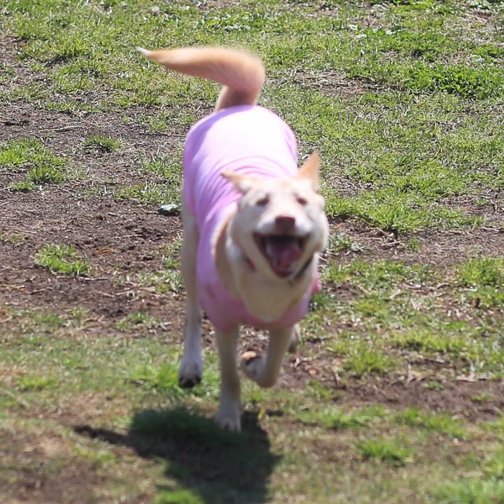 13e605c7 0ff2 4bff 9bd0 d38193838513