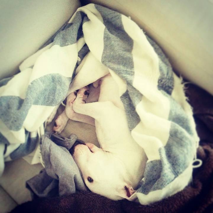 13e67e8b beda 4173 896e e945c40e8ff1