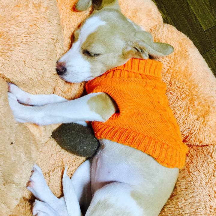 13e6a321 71ca 4cd6 92ee 32800302cf44