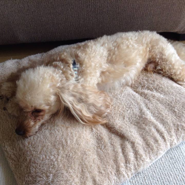 13e74394 a37d 473b ac2c d372a18a4350