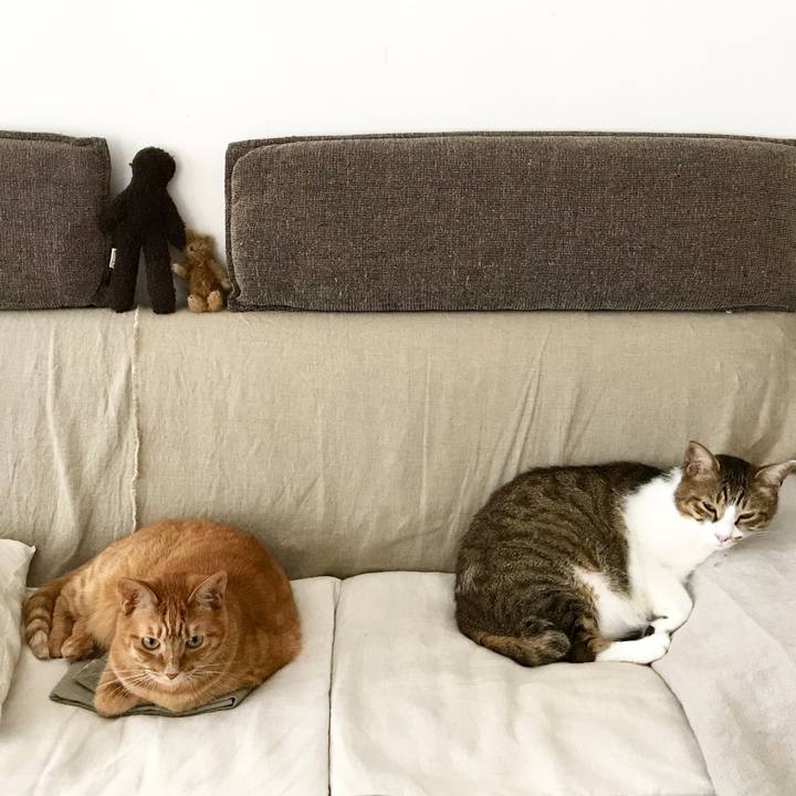 13e78ce9 3d61 4ae7 94ec 7542faa5a7a6