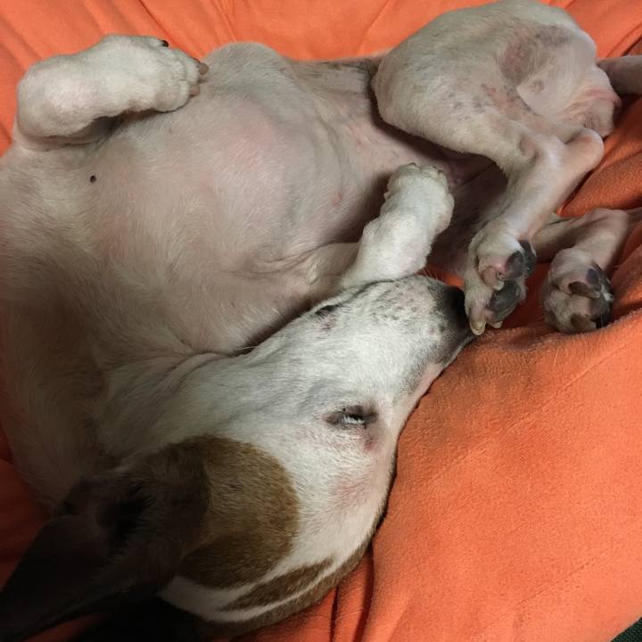 13e809ec c6ce 4763 ae81 244511bd52e0