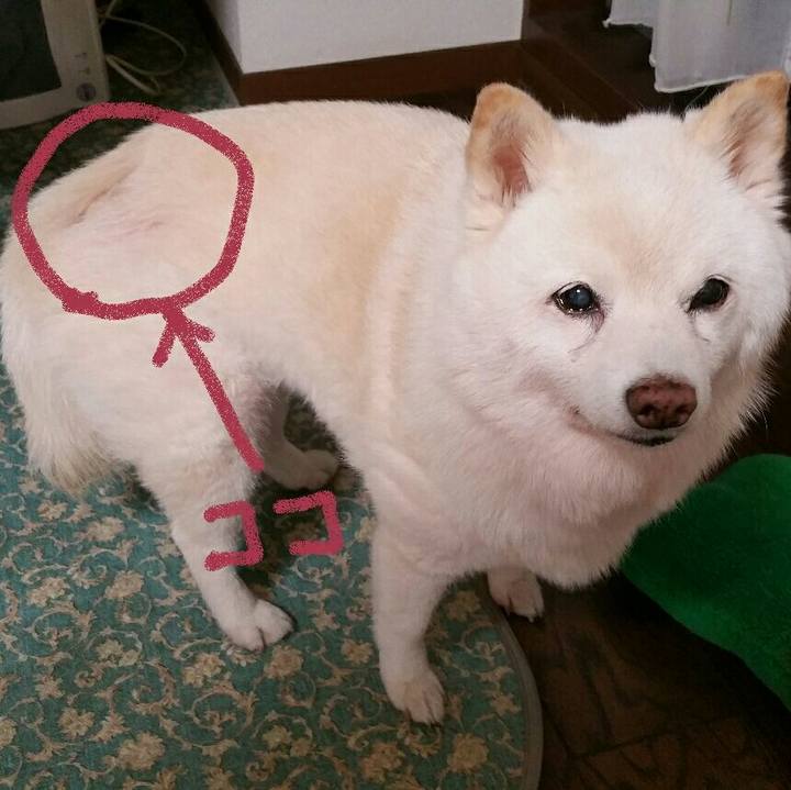 13e82b64 911a 4f23 924a 0d5240887a06