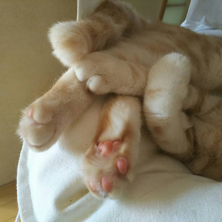 13e85a81 05c2 4056 9e99 8e02113bdc13