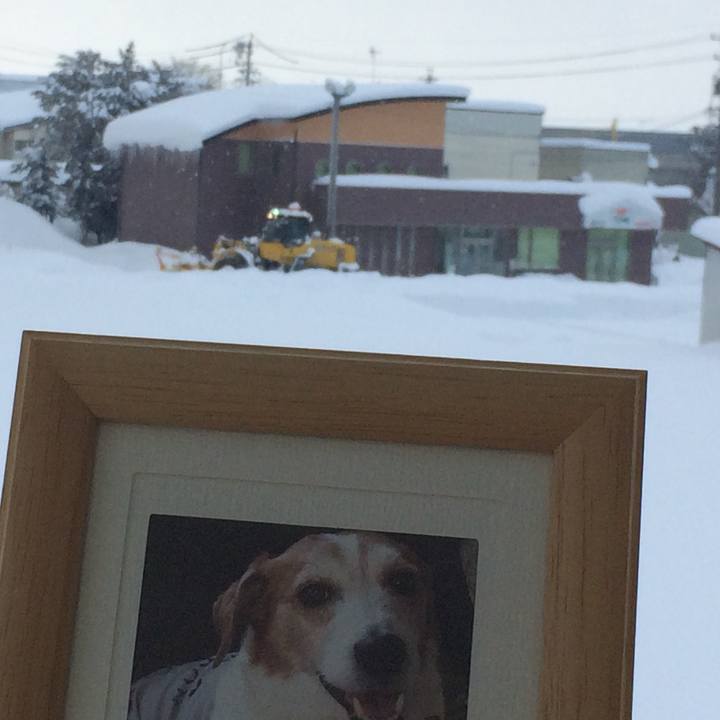 13e883e7 629a 4d2c be13 1cc57a950afe