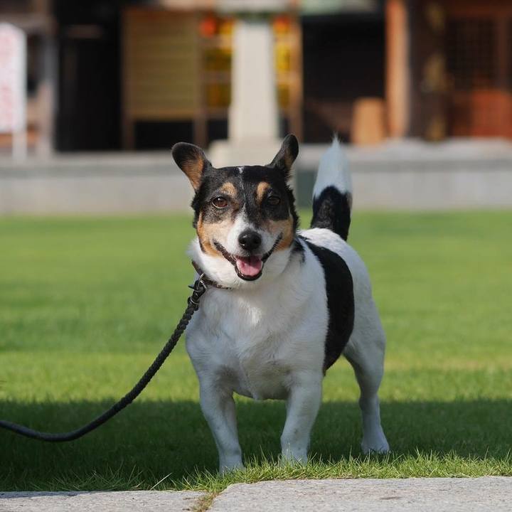 13e97ae9 6556 4a2f ab83 d35758efa99f