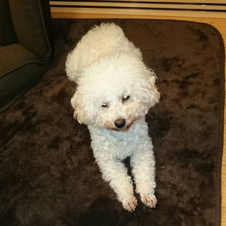 13ea4a10 ae5b 4d3b 92b3 5f0c137a56fa