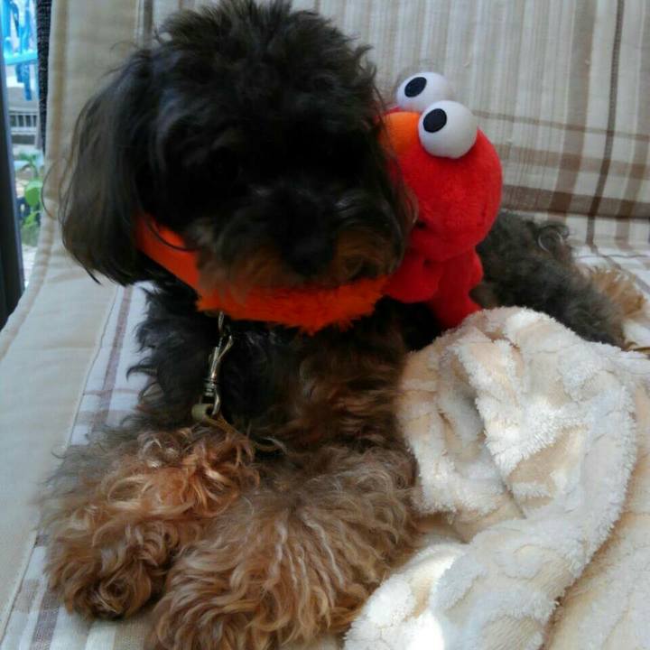 13ea556f 7c32 4b0f bd55 ed1134aa1f69