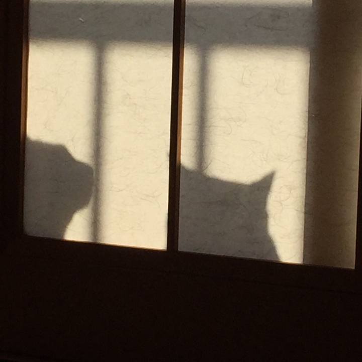 13ea6a46 e615 43cd 99fc 092c0206ab20