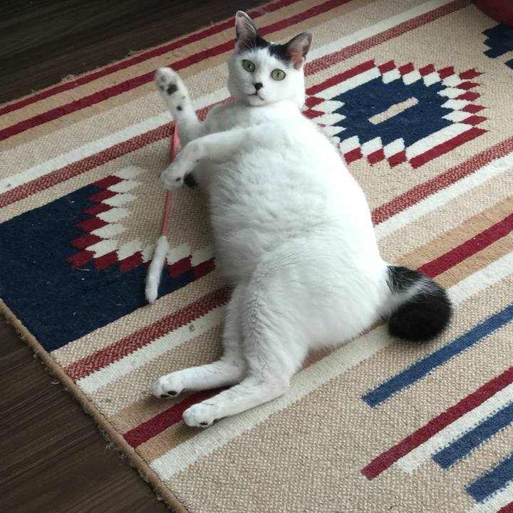 13ea6e62 6c44 4caa b5f0 281e150b64e0