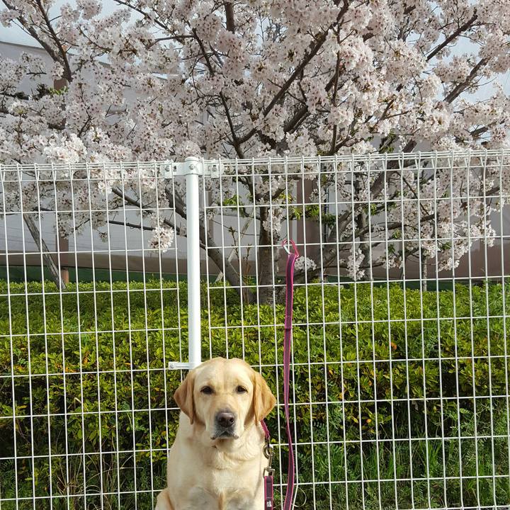 13eb0ee0 3ad5 48d0 8733 c3085adec9bf